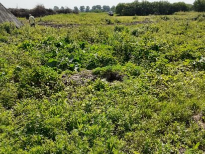 Земельный участок, Дом Ромны