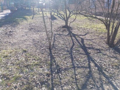 Земельна ділянка Прилуки