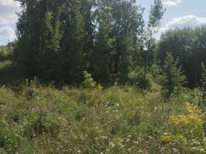 Ділянка під забудову