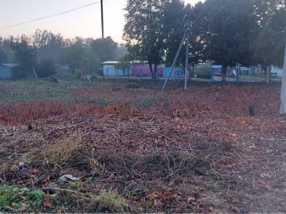 Продам земельну ділянку. САРНИ