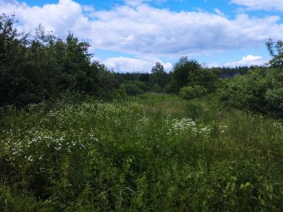Земельна ділянка ВОВЧІ ГОРИ Сарни