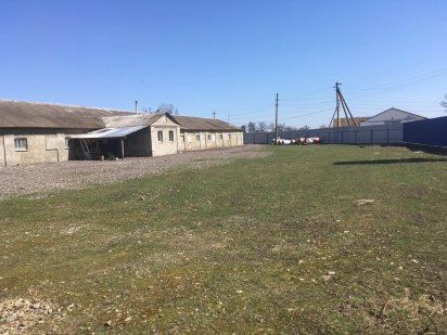 Продам ферму в с. Крупець 85 соток землі. Славута