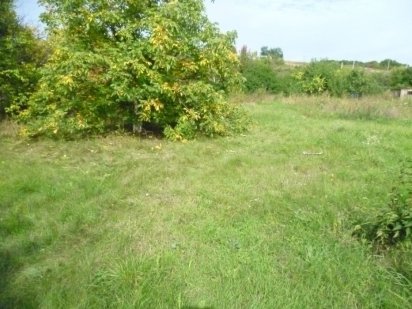 Продам участок земли 10 сот. Солоницівка