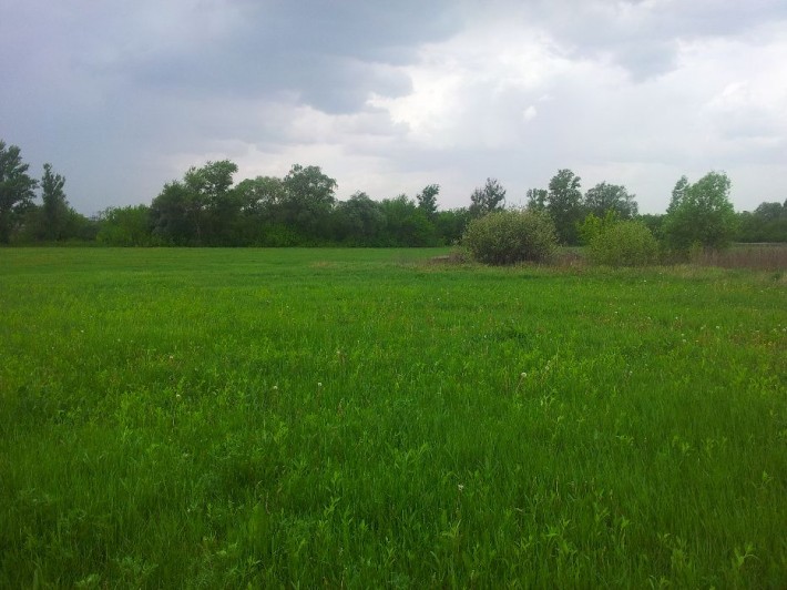Продам земельный участок Солоницевка | безопасное западное направление - фото 1