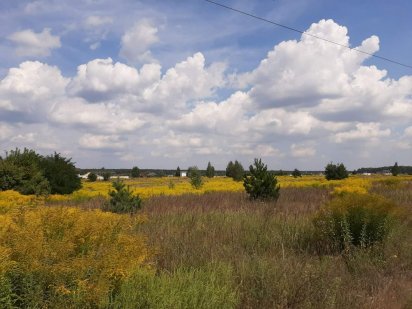 Продам земельну ділянку Староконстантинов