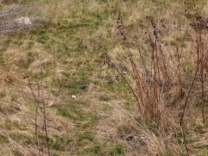 Продам земельну ділянку Старокостянтинів