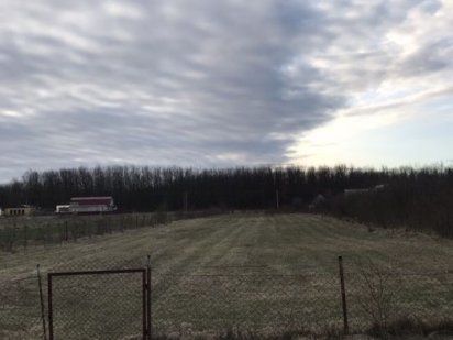 Продам участок 0,35 га.приватизований.земельна ділянка Хотин