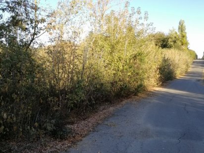 Продається осг 4 гектара. Умань