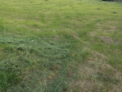 Продам участок в Піківці Умань