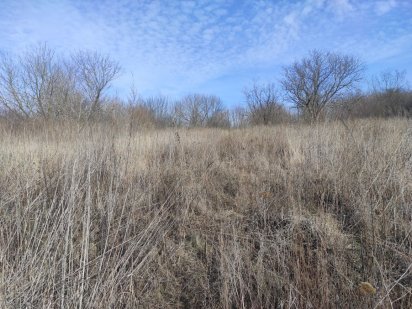 50 соток Полянецьке Умань