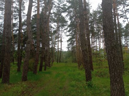 Земельный участок 57 соток с выходом на воду, Украинка