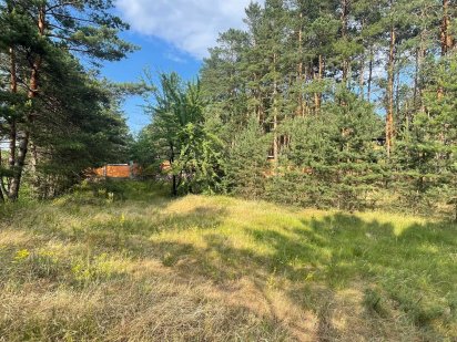 м. Українка, Киівська обл. 70 соток лісу, з виходом до річки Дніпро