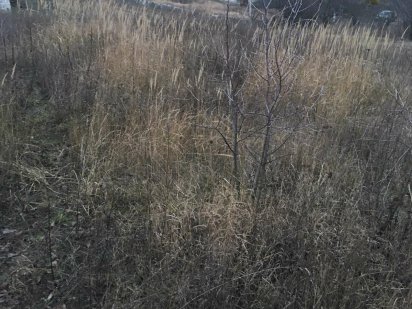 Земельный участок под застройку Снегуровка,Фастов.Торг!