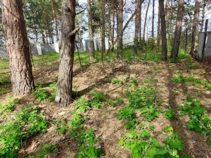 Українка, дамба, продаж земельної ділянки під житлову забудову Українка