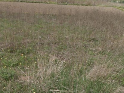 Земельна ділянка м.Хмільник,вул. Данила Нечая 33 Хмільник