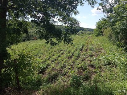 Земельна ділянка Умань