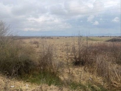 Продаж земельної ділянки 10 га в Закарпатській області Хуст