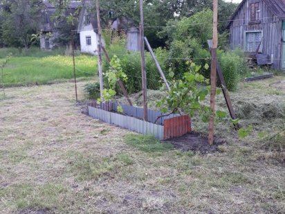 Дача, 0,5 сотих, кооператив ім.Мічуріна. Зупинка Садова. Шептицкий