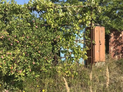 Продаю земельну ділянку Фастов