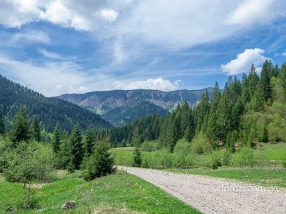 Земельна ділянка в лісі біля центральної дороги і потічка Хуст