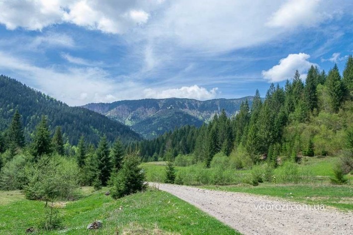 Земельна ділянка в лісі біля центральної дороги і потічка - фото 1