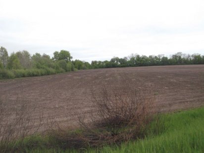 Терміново Продам Земельний Пай Фастов