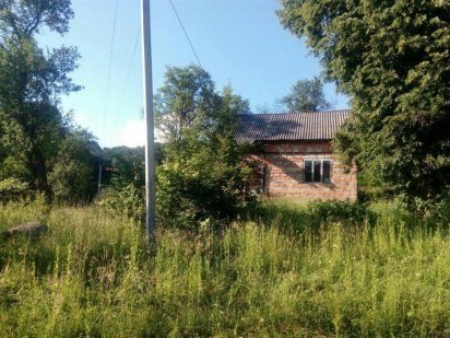 Продам дачний будинок і 25 соток під лісом Хуст