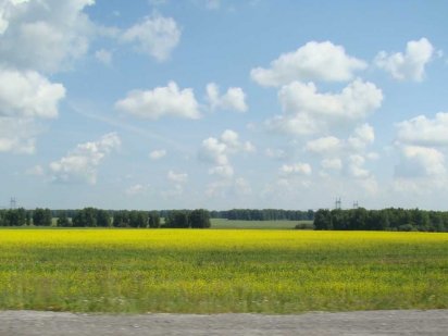 Продам земельный пай Фастов