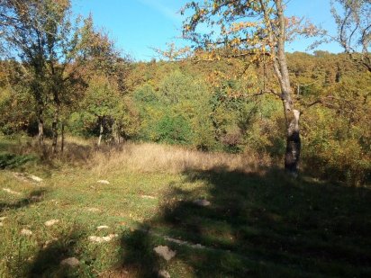 Земельна ділянка 0,12 га в Карпатах, Чертеж. Признач.-під садівництво Хуст