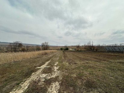 Лісові Гринівці 6825083600030090082 Хмельницький