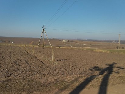 Ружична  Подільський смак