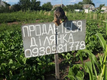 Земельна ділянка Фастів Фастів