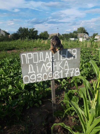 Земельна ділянка Фастів - фото 1