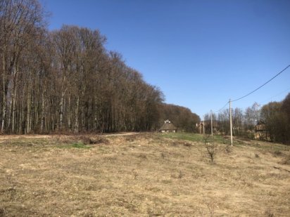 Продаж земельної ділянки біля лісу в Закарпатті