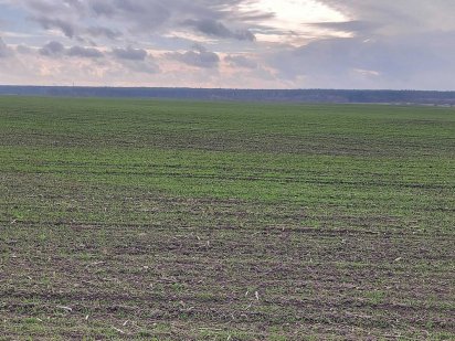 Земельна ділянка 5 соток з фундаментом Хуст