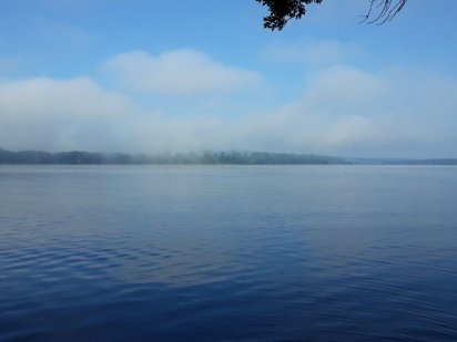 17 соток землі в Степашках. Умань