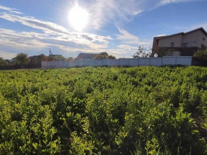 Продаж ділянка 6 сот. Лезнево Хмельницький