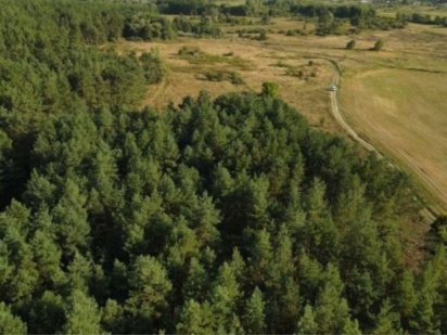 Продам участок 3га Чугуев