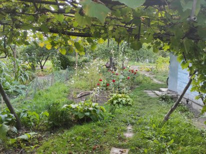 Продается садовый участок Шостка