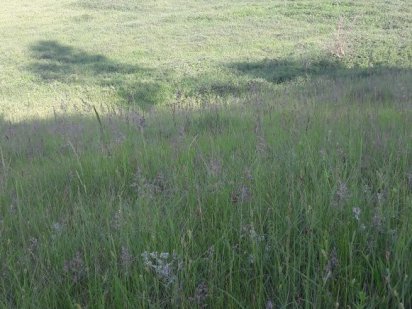 Продам земелни участок Шостка