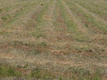 Продаж земельної ділянки під забудову!