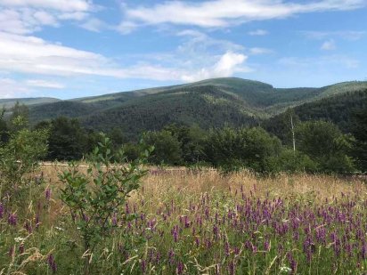 Продаж земельної ділянки в ЯРЕМЧЕ, НИЗЬКА ЦІНА!