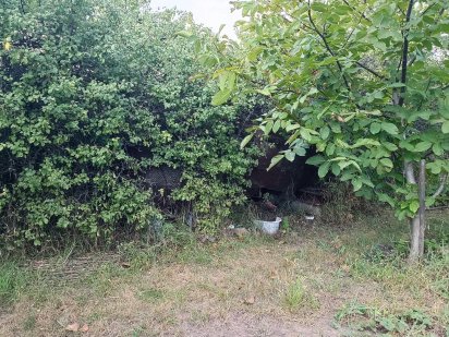 Продам дачну земельну ділянку Протон Южноукраїнськ