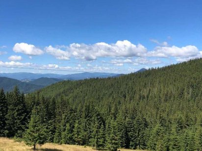 Продам земельну ділянку в місті Яремче