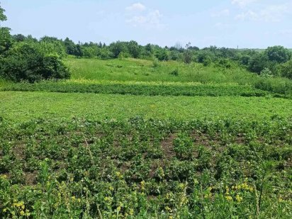 Продам земельну ділянку Хмельницький