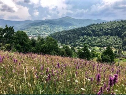 Земельна ділянка Яремче від власника Яремче