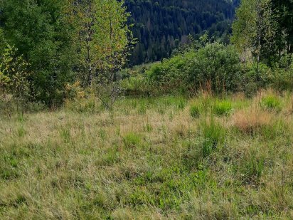 Продаю землю в Карпатах