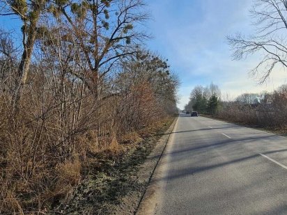 Продаж земельної ділянки, р-н Ракове