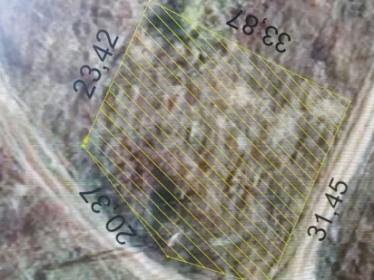 Алмазний  Видрові доли земельна ділянка Хмельницький