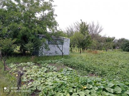 Дачна ділянка. Біла Церква. Белая Церковь